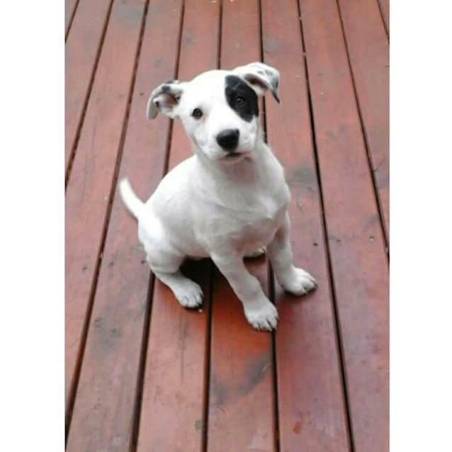 Photo of Lucy