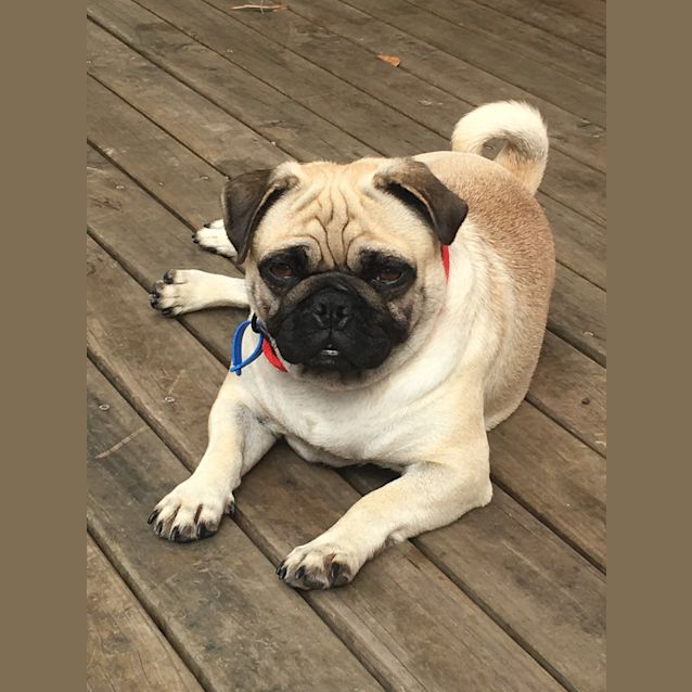 Photo of Sandy