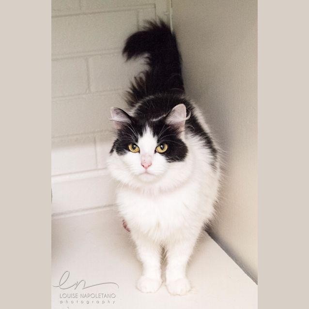 Photo of Leah (4486)