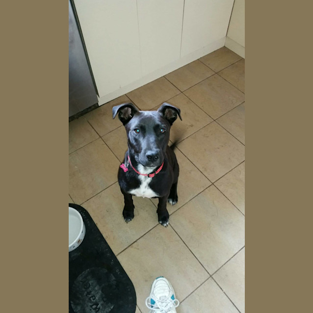Photo of Ebby