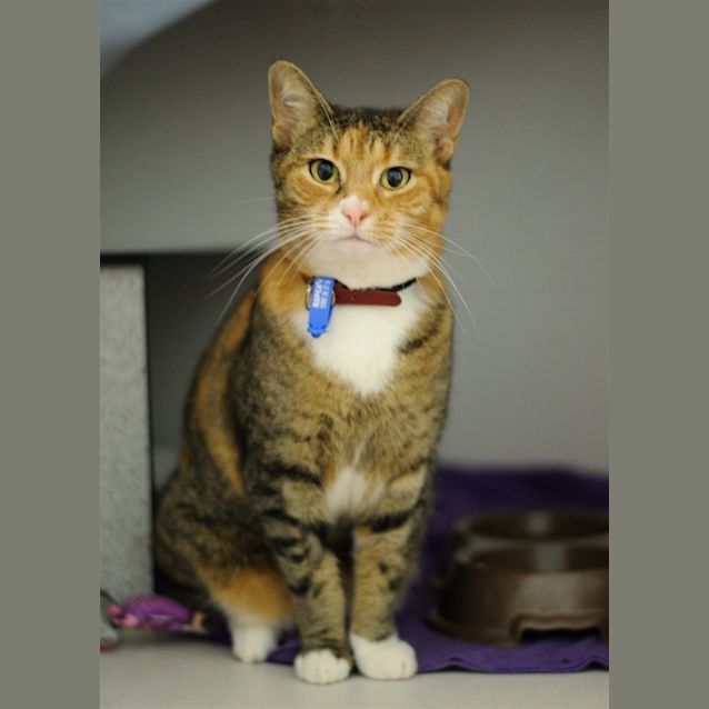 Photo of Princess