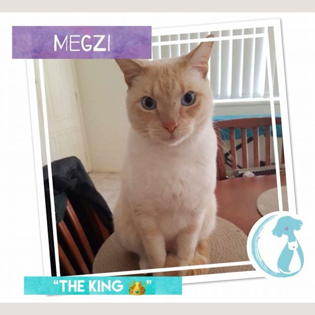 Photo of Megzi