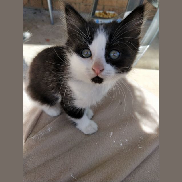 Photo of Zeus