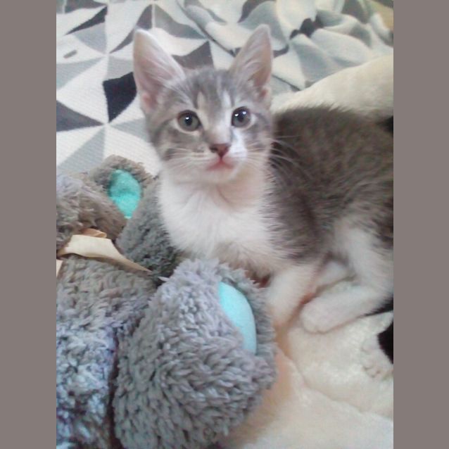 Photo of Princess Mia