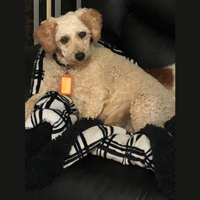 Photo of Baby