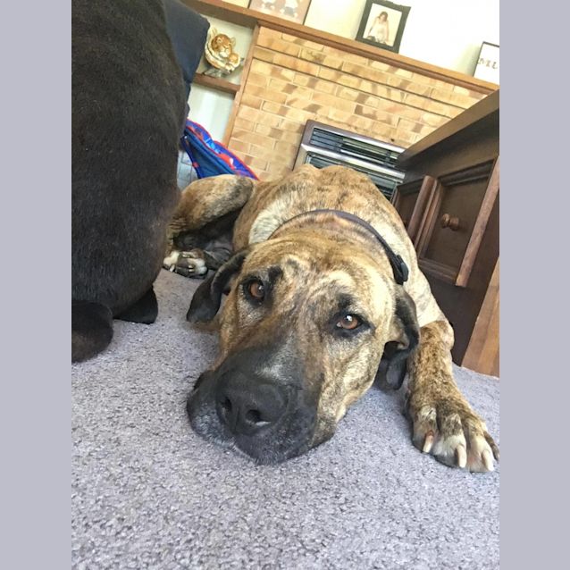 Photo of Zoe Ann