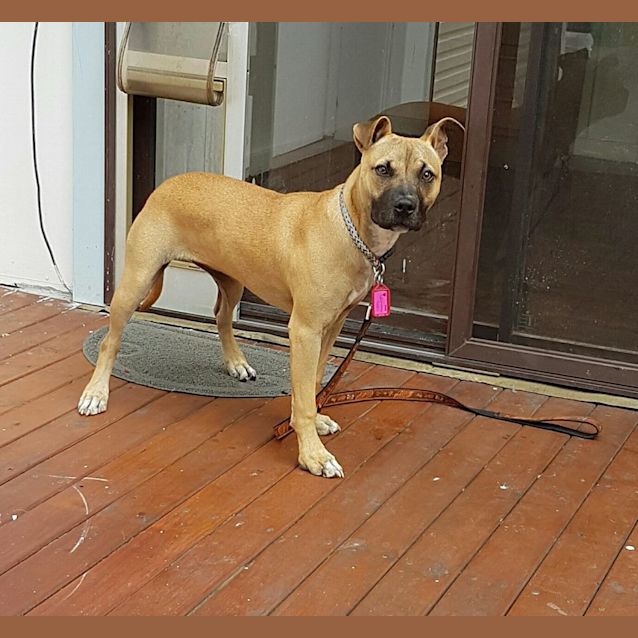 Photo of Gypsy