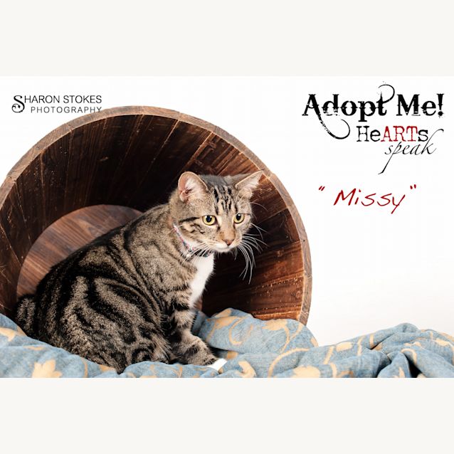 Photo of Missy