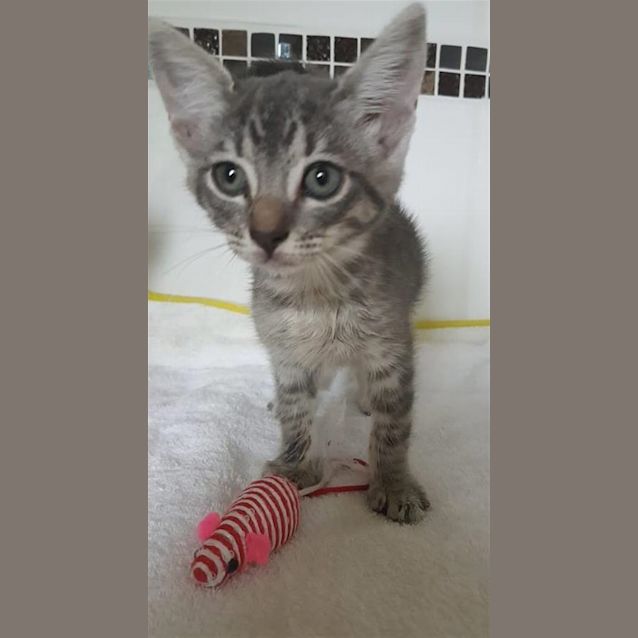 Photo of Blue