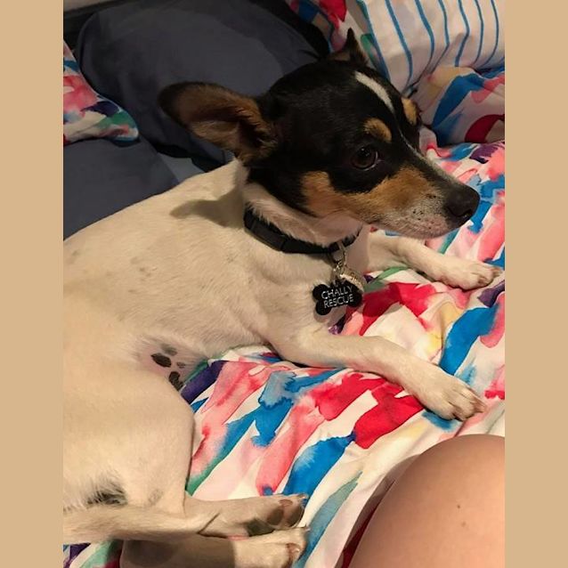 Photo of "Zoe"