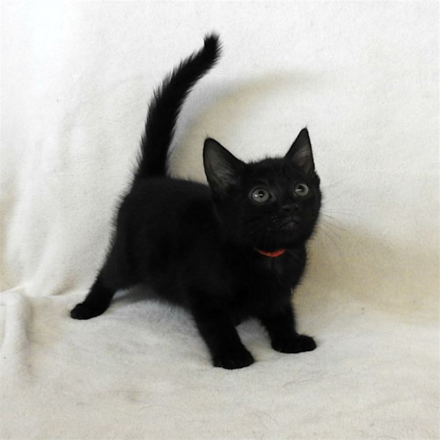 Photo of Libby
