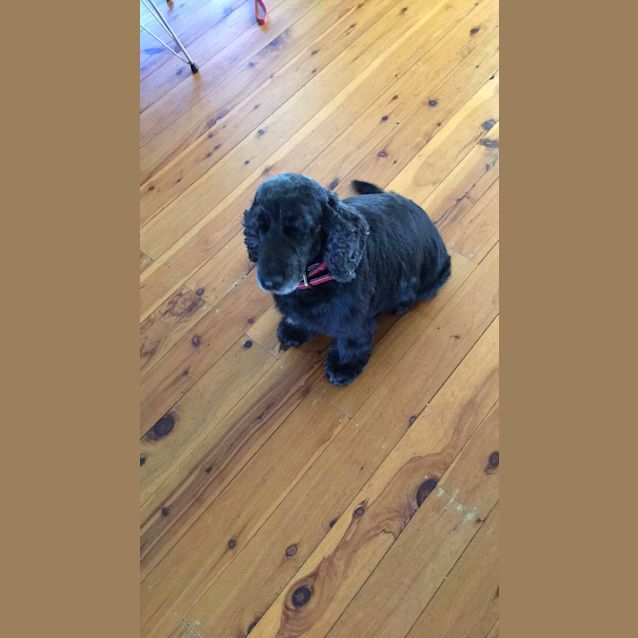 Photo of Melba