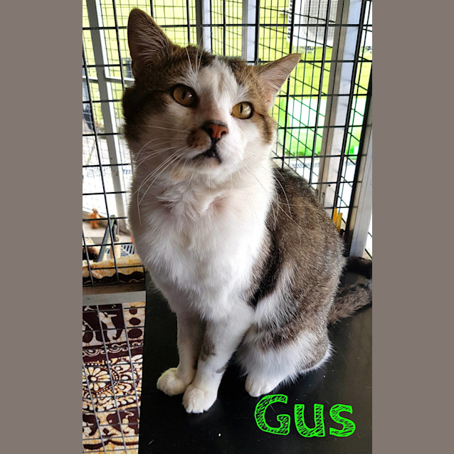 Photo of Gus