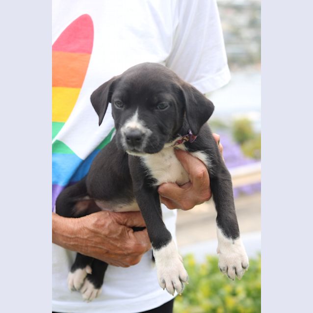 Photo of Kia