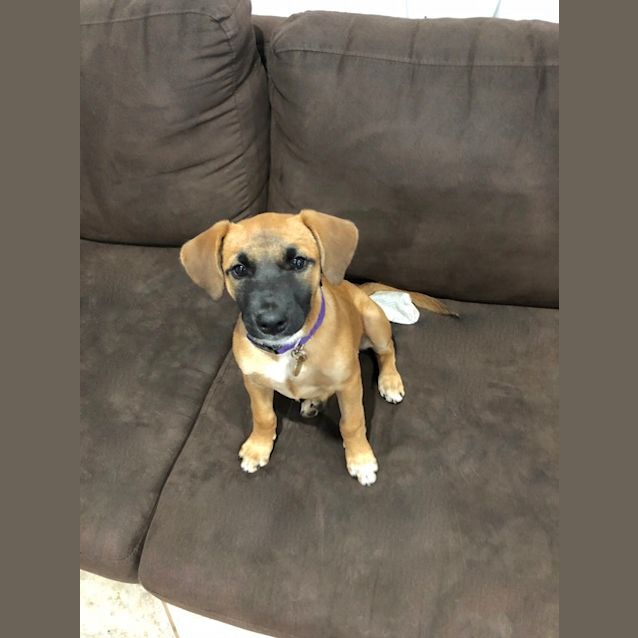 Photo of Sharla D3716