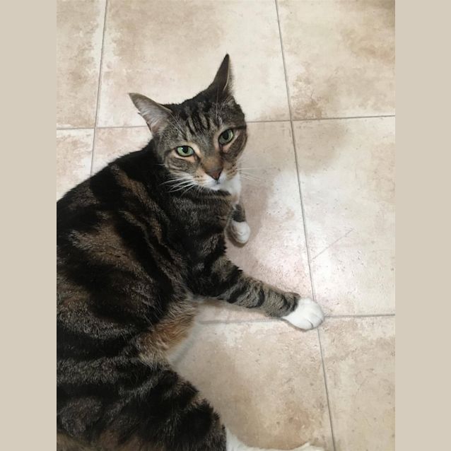 Photo of Bo