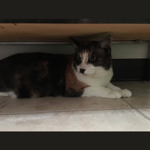 Photo of Riley