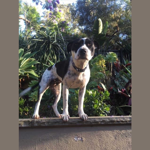 Photo of Bonnie