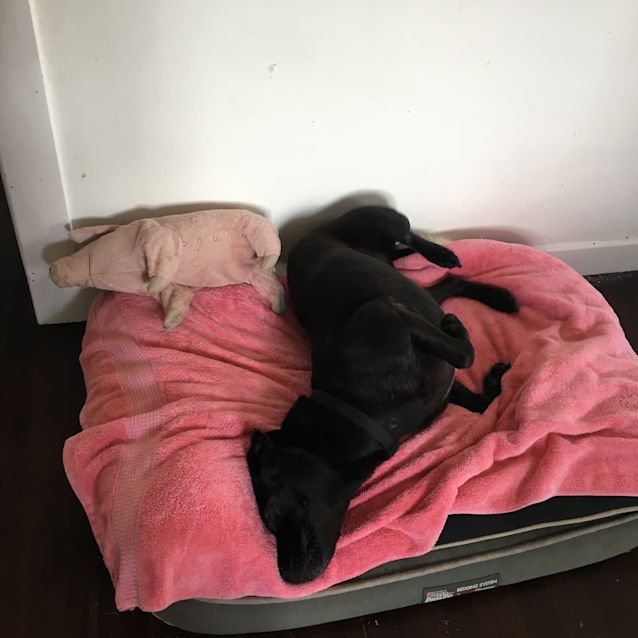 Photo of Jersey And Bindi