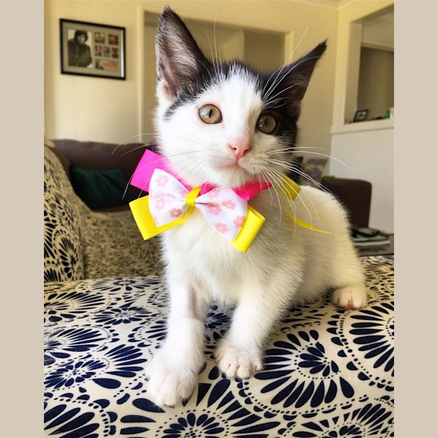 Photo of Delilah