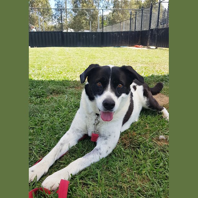 Photo of Zoe