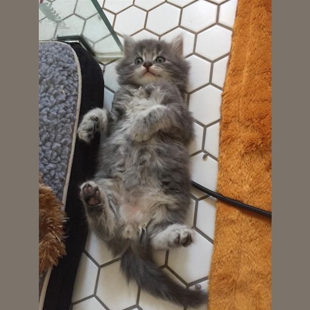 Photo of Eddie