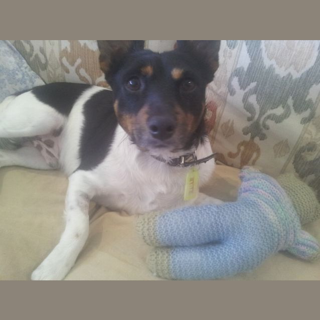 Photo of Bingo