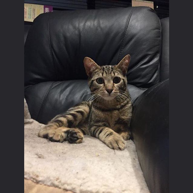 Photo of Thomas