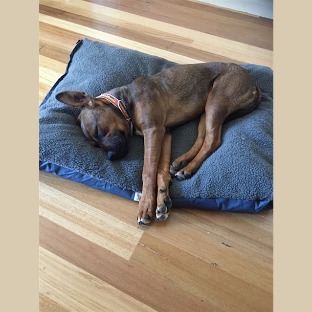Photo of Theodore