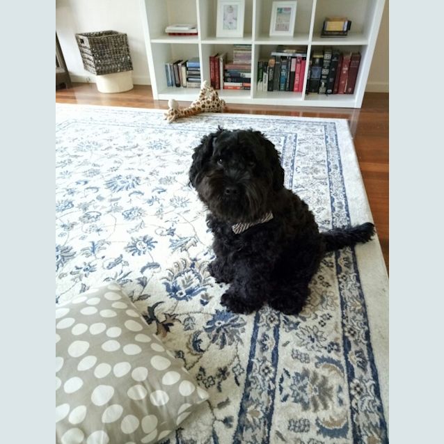 Photo of Walter