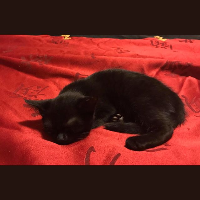 Photo of Middy