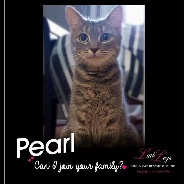 Photo of Pearl
