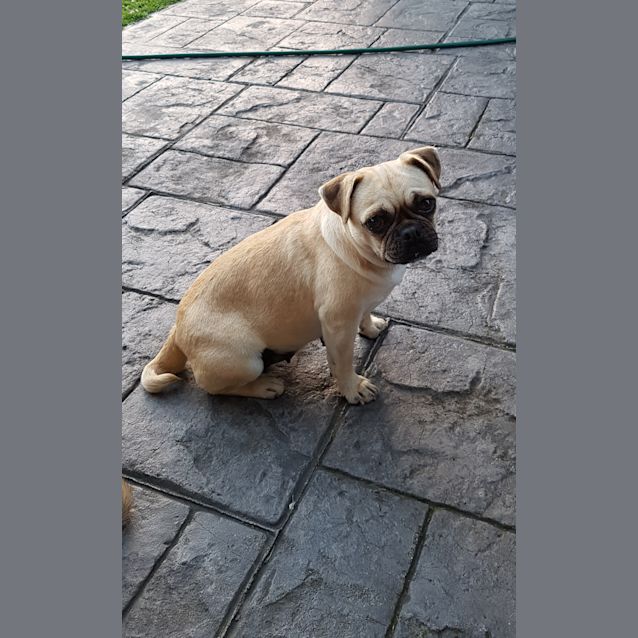 Photo of Leah