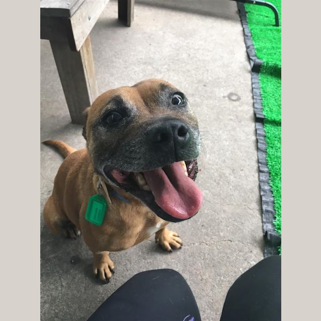 Photo of Molly