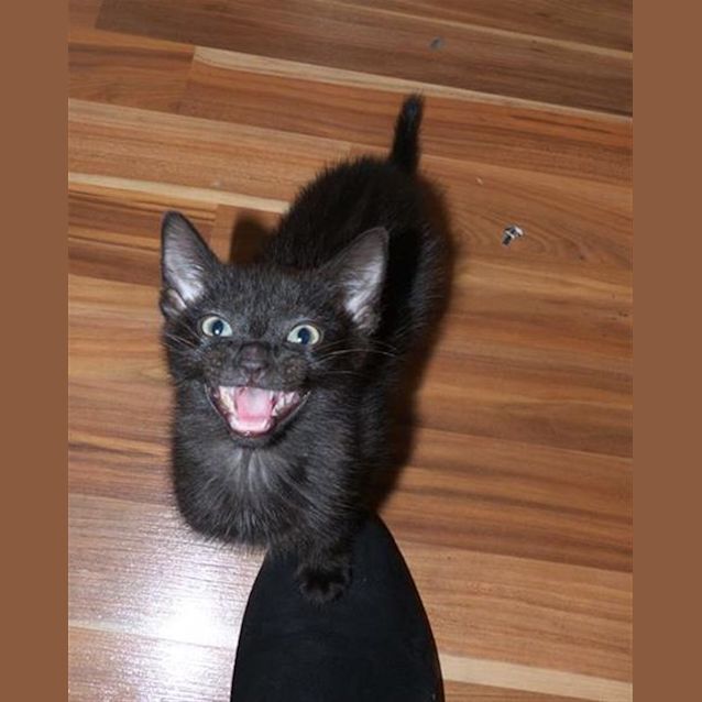 Photo of Kat