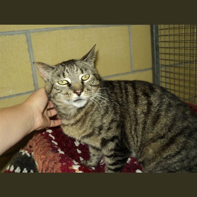 Photo of Oskar