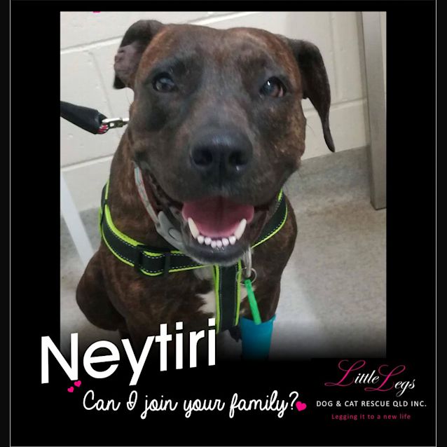 Photo of Neytiri