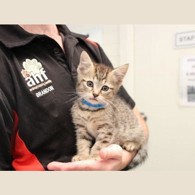 Photo of Jelly Bean (4431)