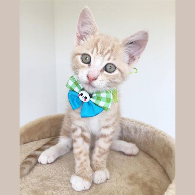 Photo of Jack