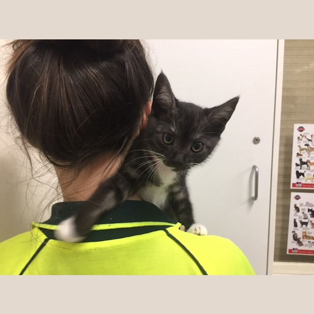 Photo of Lilly (4581)