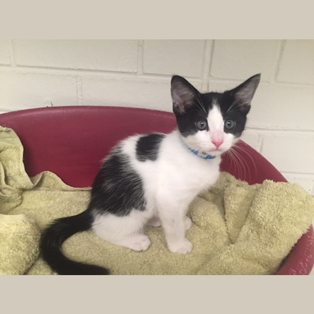 Photo of Gabrielle (4803)