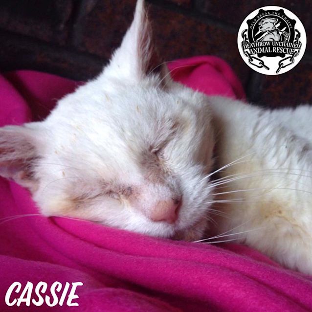 Photo of Cassie