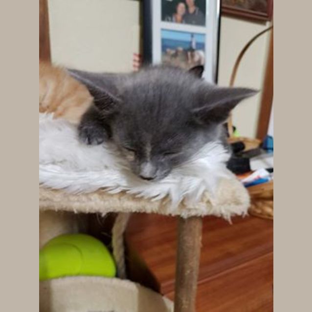 Photo of Mindie