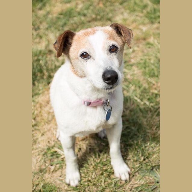 Photo of Bonnie