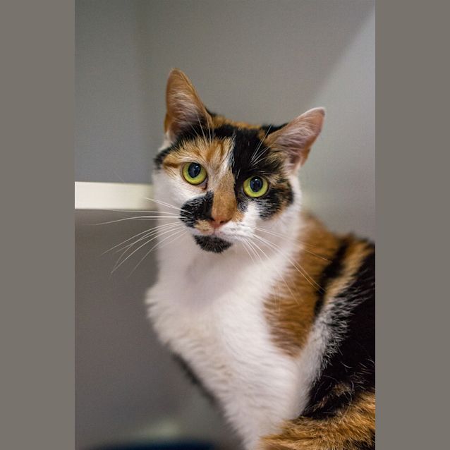 Photo of Hazel