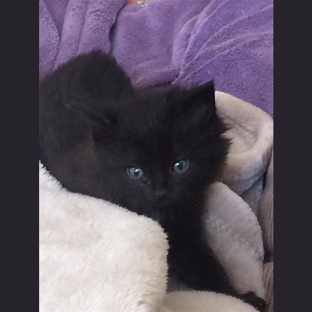 Photo of Skylar