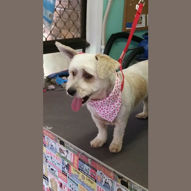 Photo of Willow