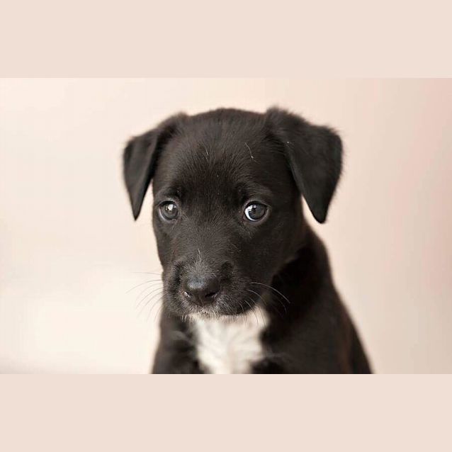 Photo of Ralph