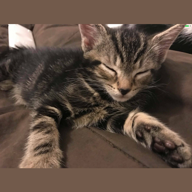 Photo of Wednesday 