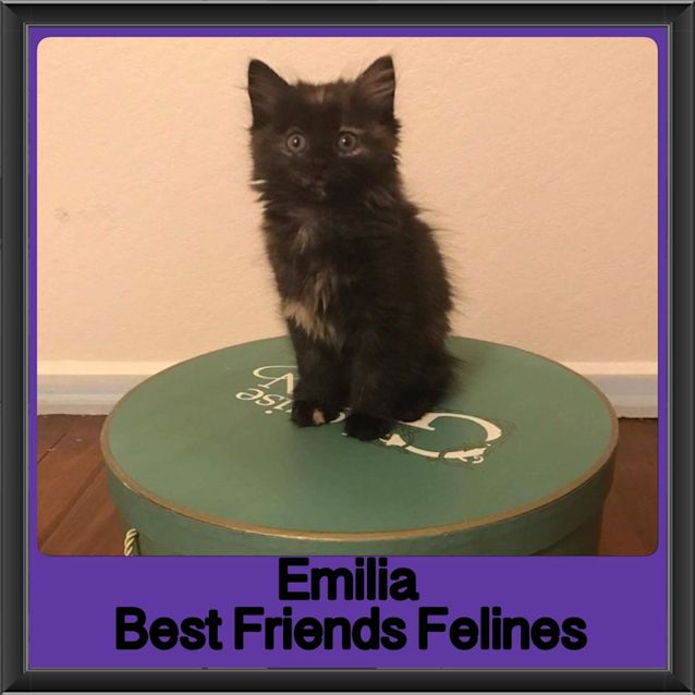 Photo of Emilia 
